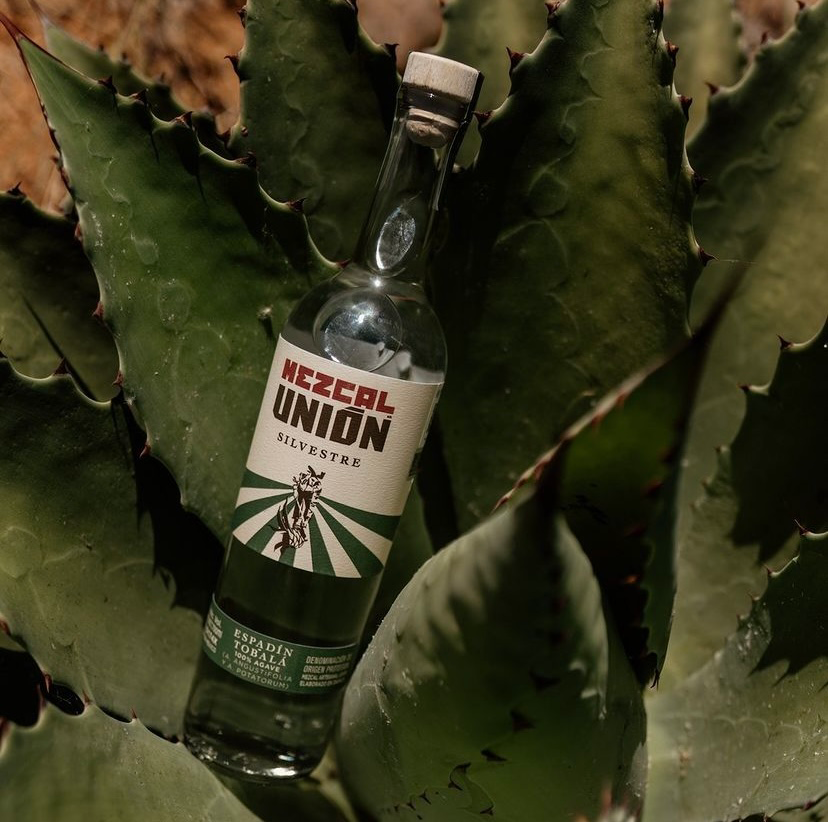 Mezcal - Union - Bouteille - Bottle - Agaves