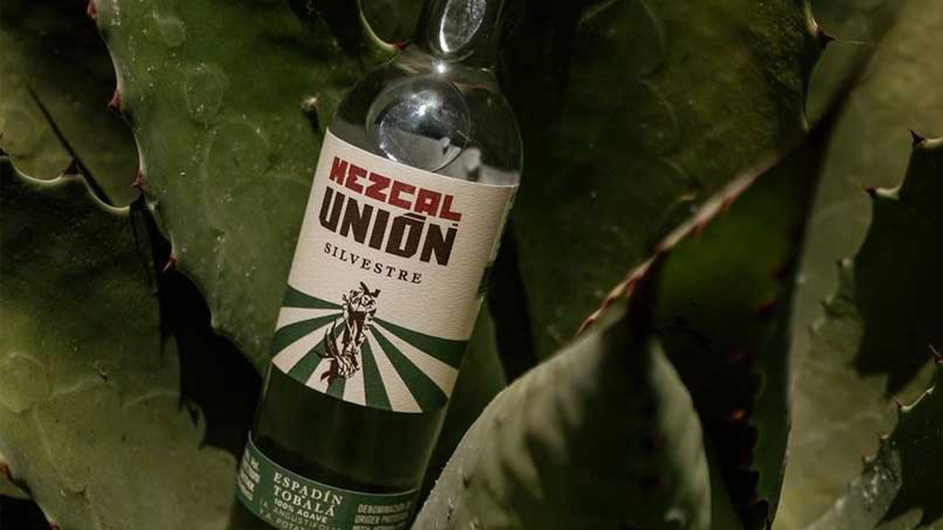 Mezcal Union - spiritueux - Hedon Distribution